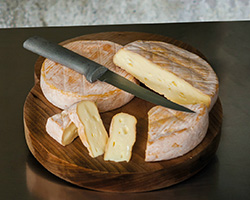 cheese